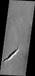 The linear depression in this image from NASA's 2001 Mars Odyssey spacecraft is a volcanic vent in the lava plains east of Pavonis Mons.