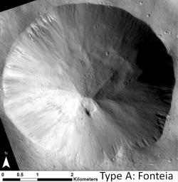 This image shows examples of straighter, shorter, wider gullies that scientists on NASA's Dawn mission have found on the giant asteroid Vesta. The crater shown here is called Fonteia.
