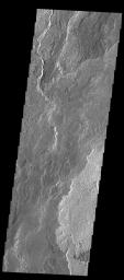 The lava flows in this image from NASA's 2001 Mars Odyssey spacecraft are part of the extensive lava plains of Daedalia Planum.