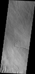 The lava channels in this image from NASA's 2001 Mars Odyssey spacecraft are located on the northern flank of Ascraeus Mons.