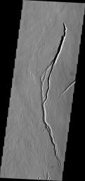 The lava channels in this image from NASA's 2001 Mars Odyssey spacecraft are located on the southern flank of Ascraeus Mons.