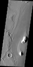 The streamlined island in this image captured by NASA's 2001 Mars Odyssey spacecraft is located in the channel of Marte Vallis.