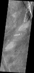 The windstreaks in this image from NASA's 2001 Mars Odyssey spacecraft are located on the southwestern flank of Alba Mons.