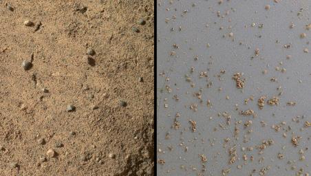 NASA's Mars rover Curiosity acquired close-up views of sands in the 'Rocknest' wind drift to document the nature of the material that the rover scooped, sieved and delivered to the CheMin and SAM instruments in October and November 2012.