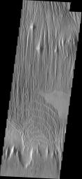 The surface in this image captured by NASA's 2001 Mars Odyssey spacecraft has been scoured by the wind, producing the linear ridges/valleys.