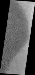 This image from NASA's 2001 Mars Odyssey spacecraft shows part of the large sand sheet and surface dune forms on the floor of Proctor Crater.