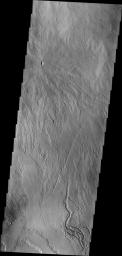 The lava channels in this image are located in the Tharsis plains as seen by NASA's 2001 Mars Odyssey spacecraft.