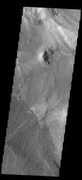 This image captured by NASA's 2001 Mars Odyssey spacecraft shows the dune field on the floor of Nili Patera.