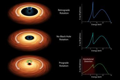 Black holes are tremendous objects whose immense gravity can distort and twist space-time, the fabric that shapes our universe as this chart from NASA's NuSTAR and ESA's XMM-Newton telescope illustrates.