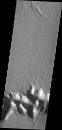 The mega gully in this image from NASA's 2001 Mars Odyssey spacecraft empties into Echus Chasma.