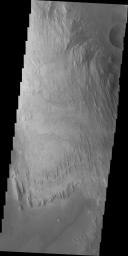 We now begin a traverse across Mt. Sharp moving from east to west. The layering of the material that comprises Mt. Sharp is visible in the bottom third of this image from NASA's Mars Odyssey spacecraft; showing the weathering that has affected Mt. Sharp.