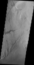 The highest elevations of Mt. Sharp are just outside this image (to the east). In the center of this image from NASA's Mars Odyssey spacecraft is a channel, indicating that fluids played a part in eroding Mt. Sharp.