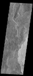 This image from NASA's Mars Odyssey spacecraft shows some of the extensive lava flows that originate at Arsia Mons.