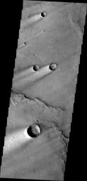 These windstreaks are located on Syrtis Major Planum, as shown in this image captured by NASA's 2001 Mars Odyssey spacecraft.