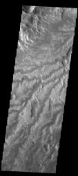 This image from NASA's Mars Odyssey spacecraft shows a portion of Arda Valles.