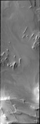 Ridges are prevalent in this image captured by NASA's 2001 Mars Odyssey spacecraft. Layers of material cover this region of Mars.