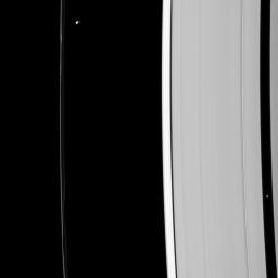 Although their gravitational effects on nearby ring material look quite different, Prometheus and Pan are both shepherd moons, holding back nearby ring edges in this image captured by NASA's Cassini spacecraft.