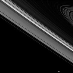 While the moon Epimetheus passes by, beyond the edge of Saturn's main rings, the tiny moon Daphnis carries on its orbit within the Keeler gap of the A ring in this image from NASA's Cassini spacecraft.