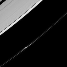A single jet feature appears to leap from the F ring of Saturn in this image from NASA's Cassini spacecraft. A closer inspection suggests that in reality there are a few smaller jets that make up this feature.