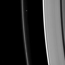 Prometheus, seen here by NASA's Cassini spacecraft, sculpting the F ring while Daphnis (too small to discern in this image) raises waves on the edges of the Encke gap.