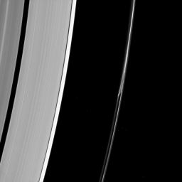 Saturn's F ring often appears to do things other rings don't. In this image from NASA's Cassini spacecraft, a strand of ring appears to separate from the core of the ring as if pulled apart by mysterious forces.