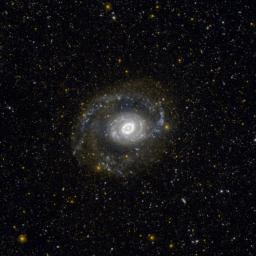 This image from NASA's Galaxy Evolution Explorer (GALEX) shows Messier 94, also known as NGC 4736, in ultraviolet light. It is located 17 million light-years away in the constellation Canes Venatici.