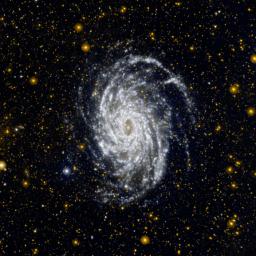 This image from NASA's Galaxy Evolution Explorer shows NGC 6744, one of the galaxies most similar to our Milky Way in the local universe.
