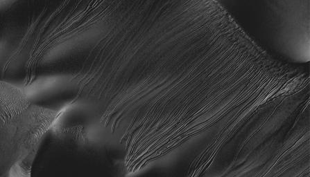 Several types of downhill flow features have been observed on Mars. Shown here is an example of a type called 'linear gullies' as seen by NASA's Mars Reconnaissance Orbiter.