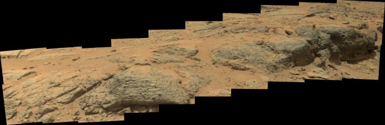 This mosaic view from the Mast Camera (Mastcam) on NASA's Mars rover Curiosity shows textural characteristics and shapes of an outcrop called 'Point Lake.' The outcrop is about 20 inches (half a meter) high and pockmarked with holes.