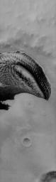 This image captured by NASA's 2001 Mars Odyssey spacecraft shows polar dunes on Mars looking like T-rex, complete with his little arm.