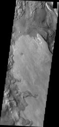 This image from NASA's Mars Odyssey spacecraft shows layered deposits looking like a giant bear facing to the left.