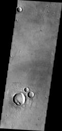 This image from NASA's Mars Odyssey spacecraft shows a group of craters on Mars that resemble a muppet.