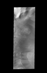 Numerous layers within Burroughs Crater are visible in this image captured by NASA's 2001 Mars Odyssey spacecraft.