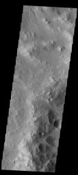 The small channel at the top of this image from NASA's 2001 Mars Odyssey spacecraft is located on the rim of an unnamed crater in Terra Sabaea.