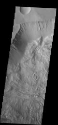 This image from NASA's 2001 Mars Odyssey spacecraft shows part of the wall of Hebes Chasma as well as the complex floor materials.