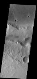 This image from NASA's 2001 Mars Odyssey spacecraft shows Tinto Vallis (middle of image) and Palos Crater (top of image).