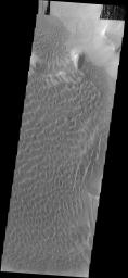 This image captured by NASA's 2001 Mars Odyssey spacecraft shows part of the dune field located on the floor of Rabe Crater.