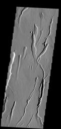 This image from NASA's 2001 Mars Odyssey spacecraft shows part of the southern flank of Ascraeus Mons. Large collapse features are common in this area.