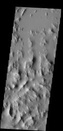 Dark slope streaks are common throughout Lycus Sulci as seen by NASA's 2001 Mars Odyssey spacecraft.