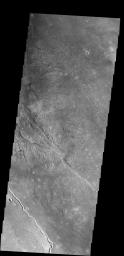This image captured by NASA's 2001 Mars Odyssey spacecraft shows several of the channels located in the Elysium Mons volcanic complex. It is likely that these channels were formed by lava flow rather than water.