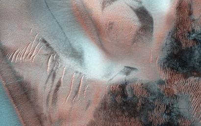 Richardson Crater is home to this sea of sand dunes. It was fall in the Southern hemisphere when NASA's MRO acquired this image of the dunes frosted with the first bit of carbon dioxide ice condensed from the atmosphere.