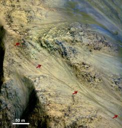 This image from NASA's Mars Reconnaissance Orbiter includes an especially long example of a type of dark marking that advances down some Martian slopes in warmer months and fades away in cooler months.