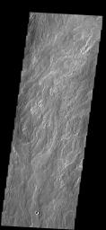 This image captured by NASA's 2001 Mars Odyssey spacecraft shows a small portion of the lava flows that make up Daedalia Planum.