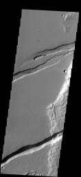 The linear depressions in this image captured by NASA's 2001 Mars Odyssey spacecraft are part of Memnonia Foassae.