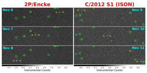 As comets C/2012 S1 (ISON) and the well-known short-period comet 2P/Encke both approached their closest distances to the Sun in November, 2013, they also passed close to the MESSENGER spacecraft orbiting the innermost planet Mercury.