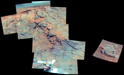 This false color image from NASA's Mars Exploration Rover Opportunity is of the outcrop on the 'Murray Ridge' portion of the rim of Endeavour Crater as the rover approached the 10th anniversary of its landing on Mars.
