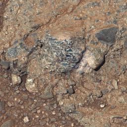 This view of a Martian rock target called /Harrison' merges images from two cameras onboard NASA's Curiosity Mars rover to provide both color and microscopic detail. The elongated crystals are likely feldspars, and the matrix is pyroxene-dominated.