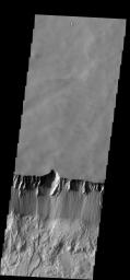The steep northern wall of Tithonium Chasma crosses this image from NASA's 2001 Mars Odyssey spacecraft. Landslide deposits from slope failure can be seen at the lower left corner of the image.