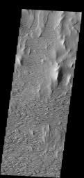 Winds have scoured this region south of Olympus Mons as seen in this image from NASA's 2001 Mars Odyssey spacecraft.
