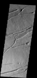 The fractures, collapse features and lava flows in this image captured by NASA's 2001 Mars Odyssey spacecraft are all located on the northern flank of Ascraeus Mons.